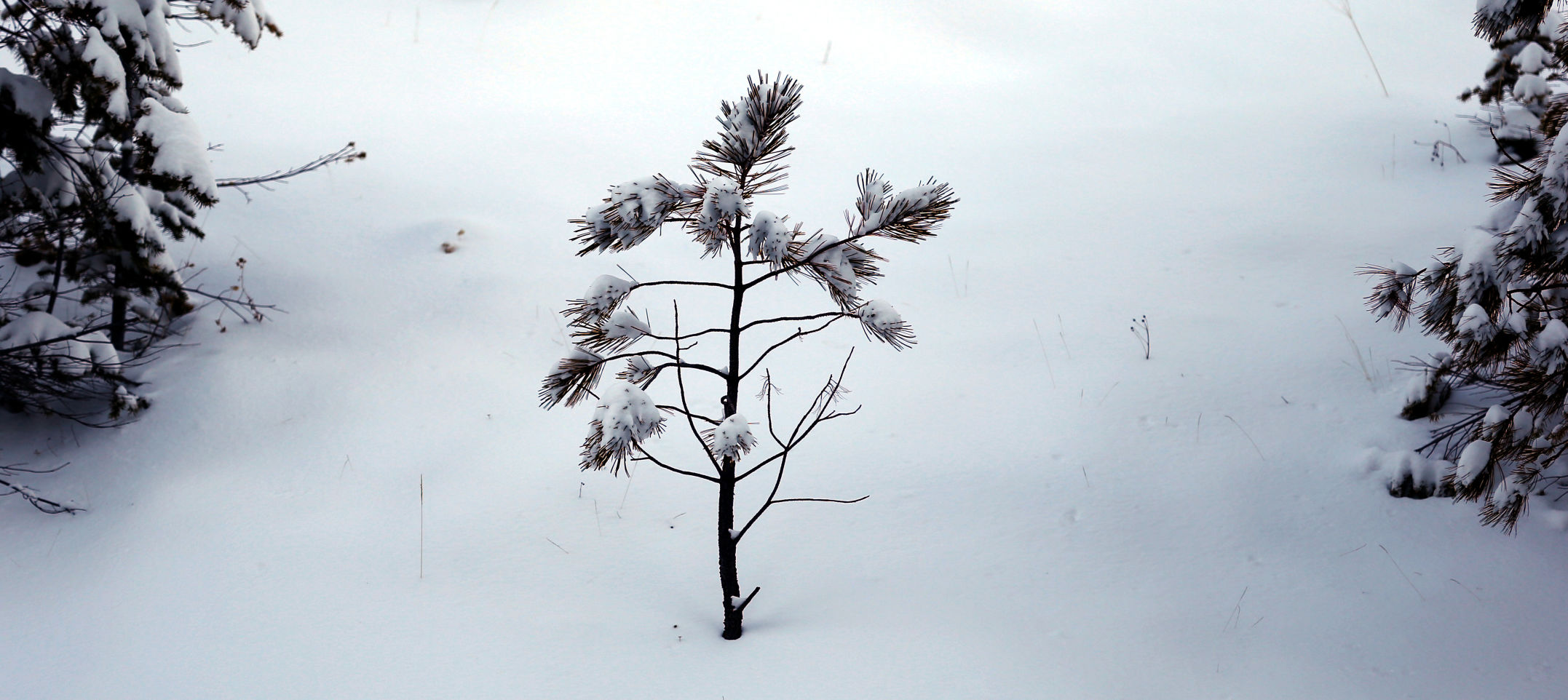 Winter weather